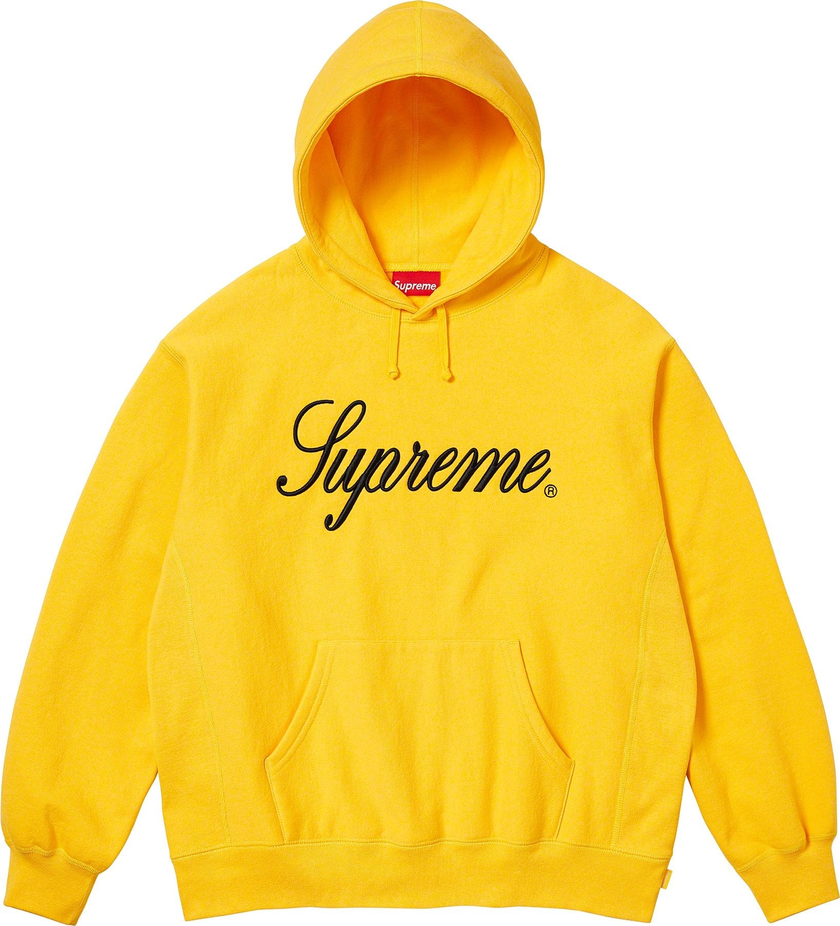 Raised Script Hooded Sweatshirt view 17